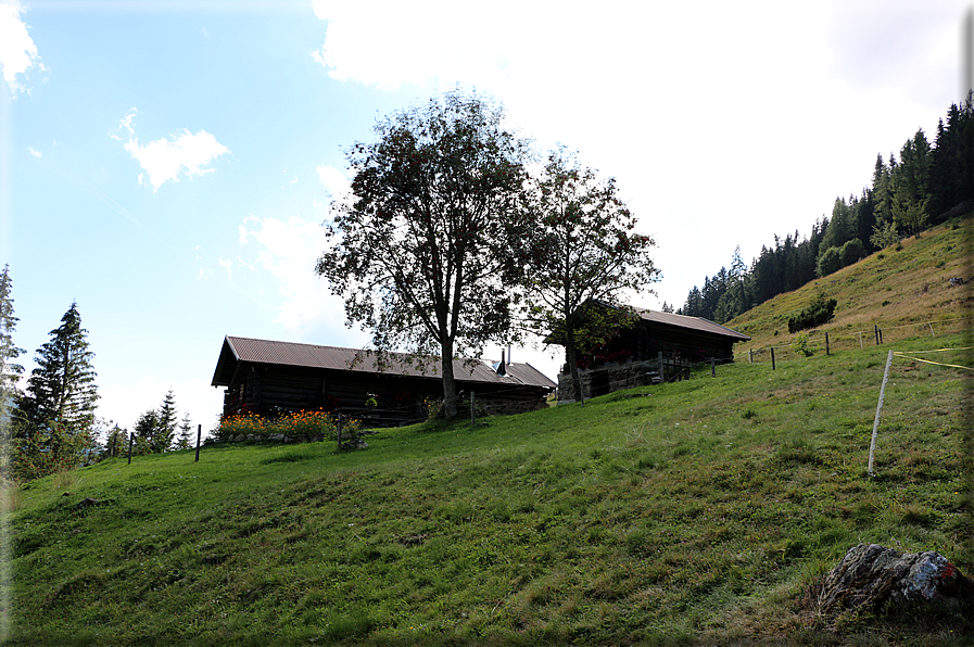 foto Da Forcella Montalon a Val Campelle